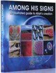 Among His Signs: An illustrated guide to Allah's creation
