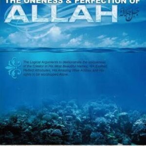 Logical Proofs For The Oneness & Perfection of Allah