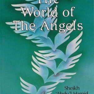 The World of The Angels